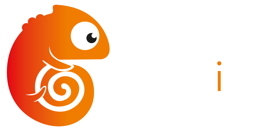 Adapting Web Solutions